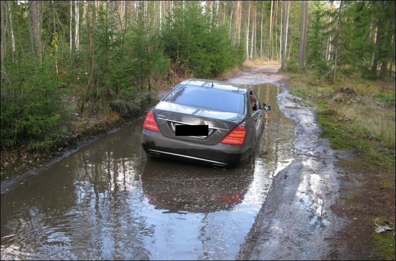 Тихо в лесу...