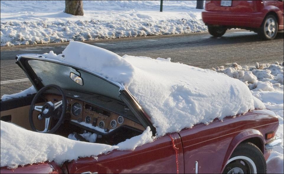 Подснежник