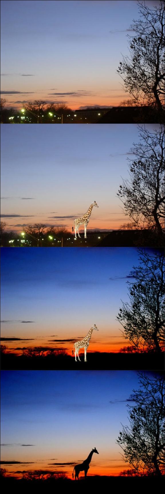 Как сделать африканское фото