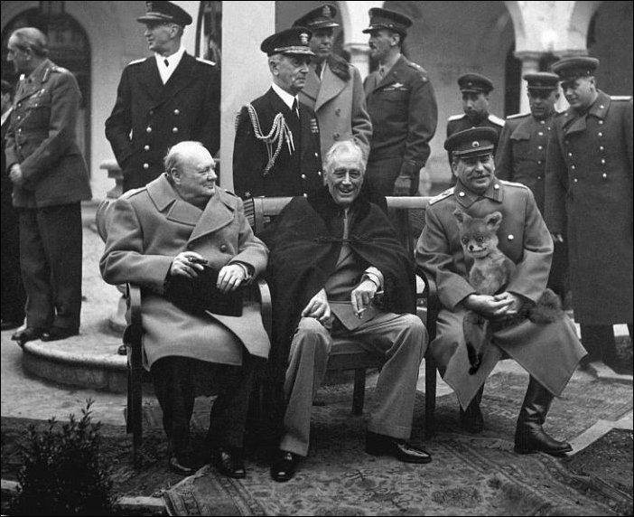 Фотожаба с чучелом лисицы