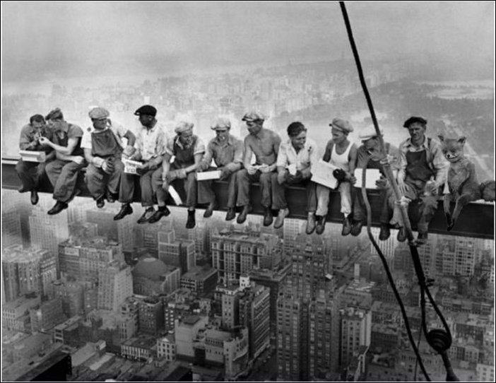 Фотожаба с чучелом лисицы