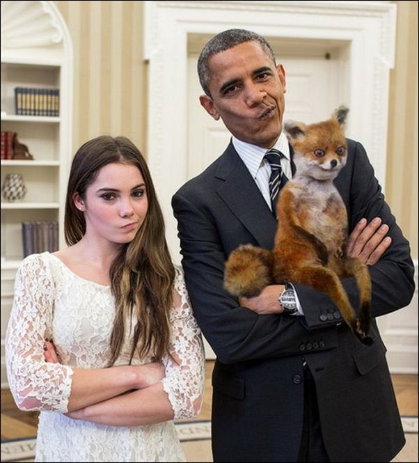 Фотожаба с чучелом лисицы