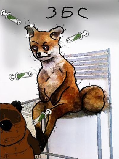 Фотожаба с чучелом лисицы