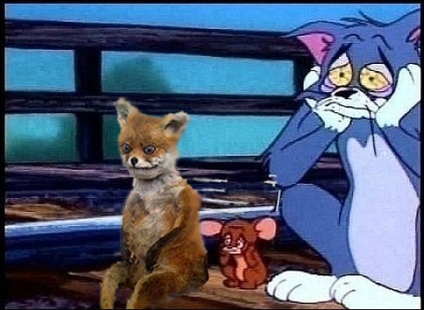 Фотожаба с чучелом лисицы