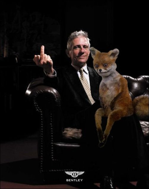 Фотожаба с чучелом лисицы