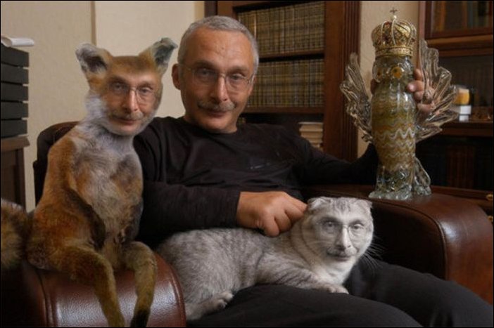 Фотожаба с чучелом лисицы