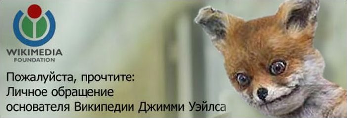 Фотожаба с чучелом лисицы