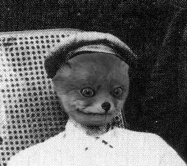 Фотожаба с чучелом лисицы