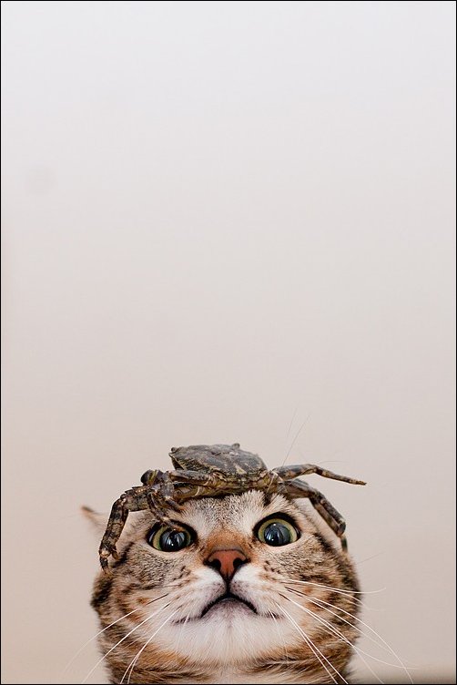 Подборка фотографий