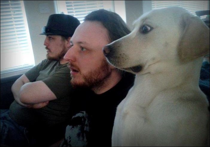 Подборка фотографий