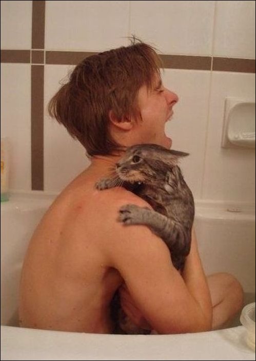 Подборка фотографий