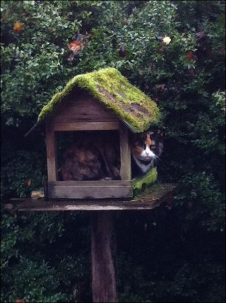 Подборка фотографий