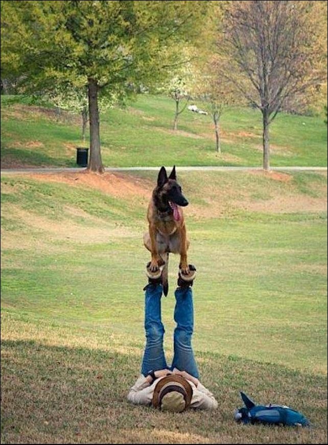 Подборка фотографий