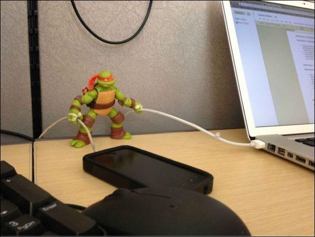 Подборка фотографий