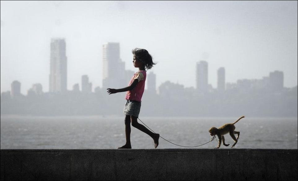 Подборка фотографий