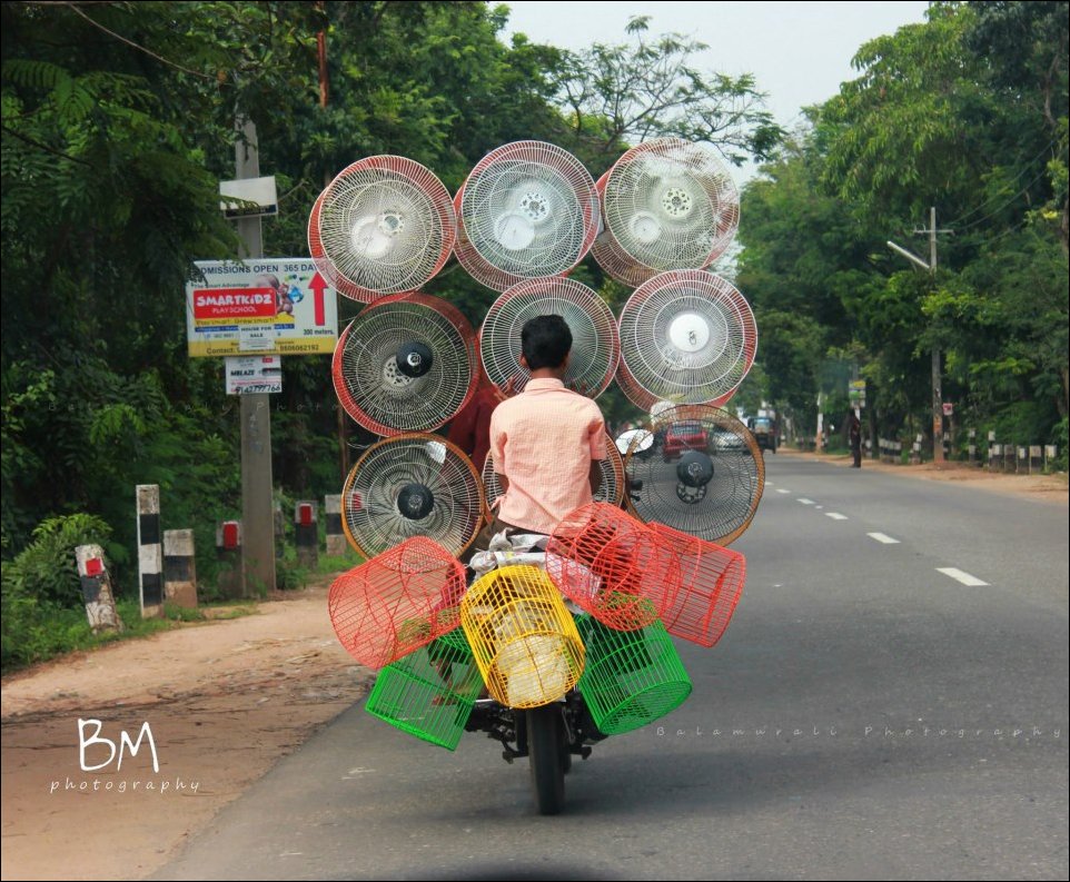 Подборка фотографий