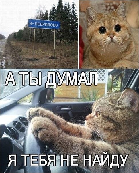 Подборка фотографий