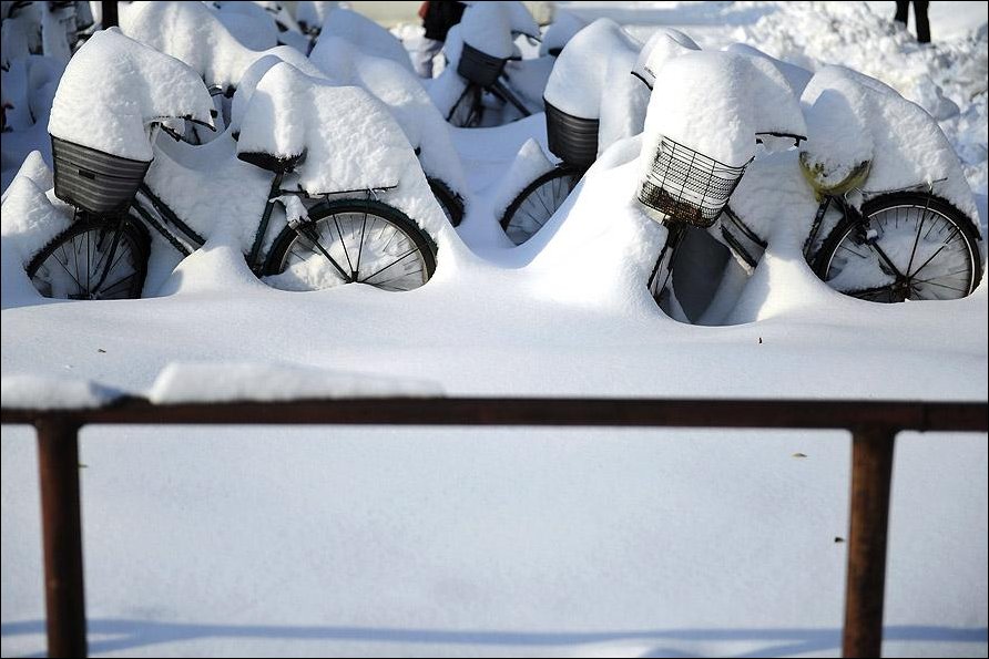 Подборка фотографий