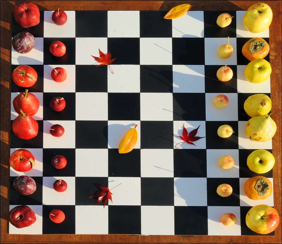 Подборка фотографий