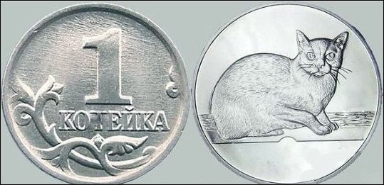 Подборка фотографий