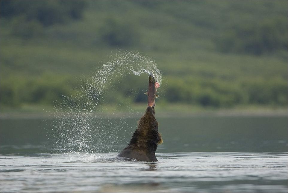Подборка фотографий
