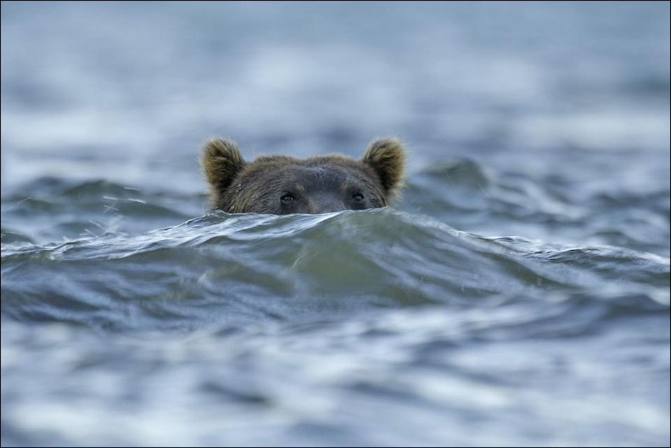Подборка фотографий