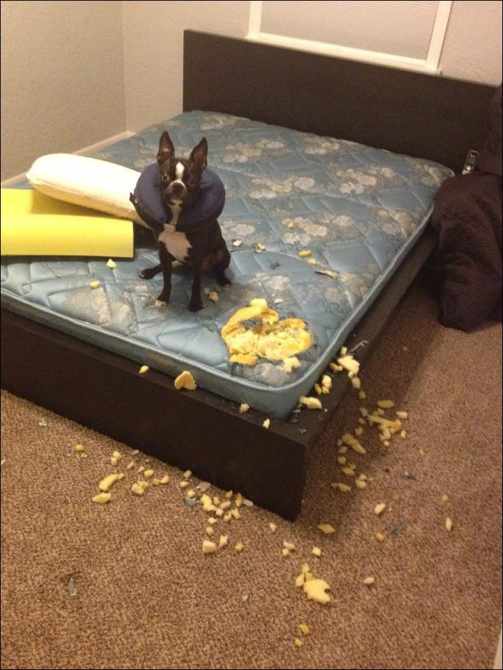 Подборка фотографий