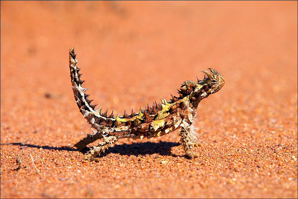 Подборка фотографий