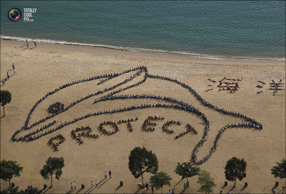 Подборка фотографий