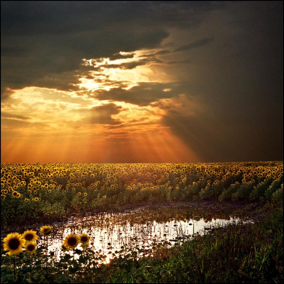 Подборка фотографий