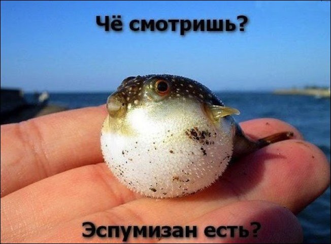 Подборка фотографий