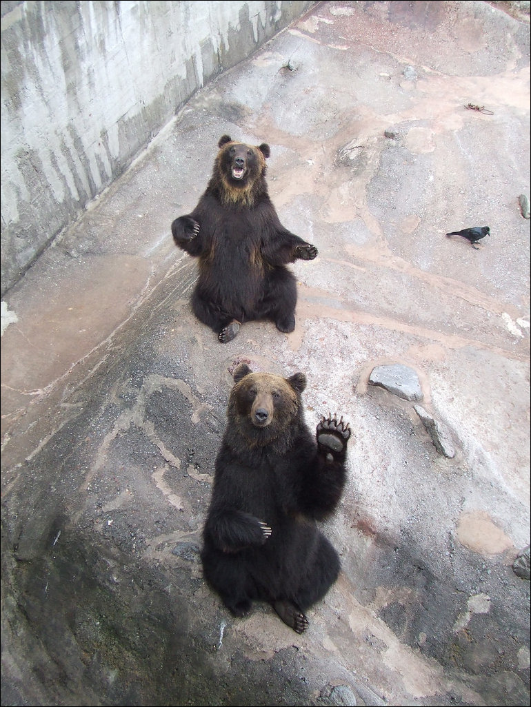 Подборка фотографий
