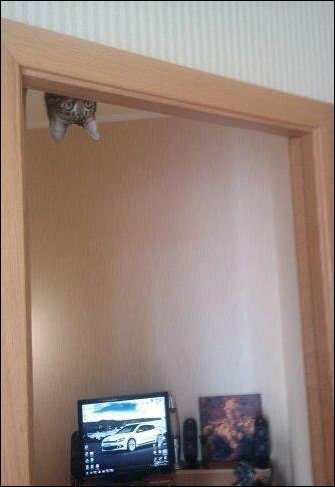 Подборка фотографий