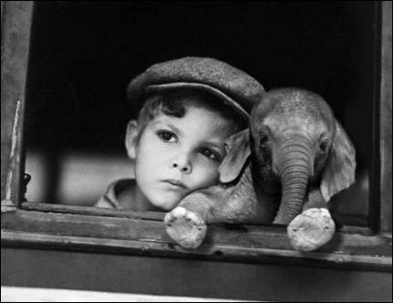 Подборка фотографий