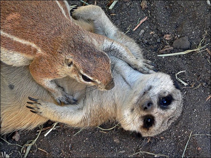 Подборка фотографий