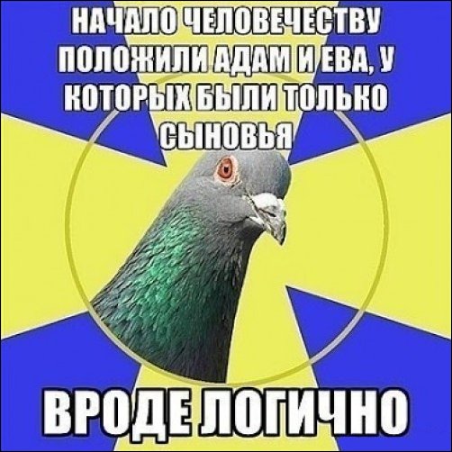 Подборка фотографий