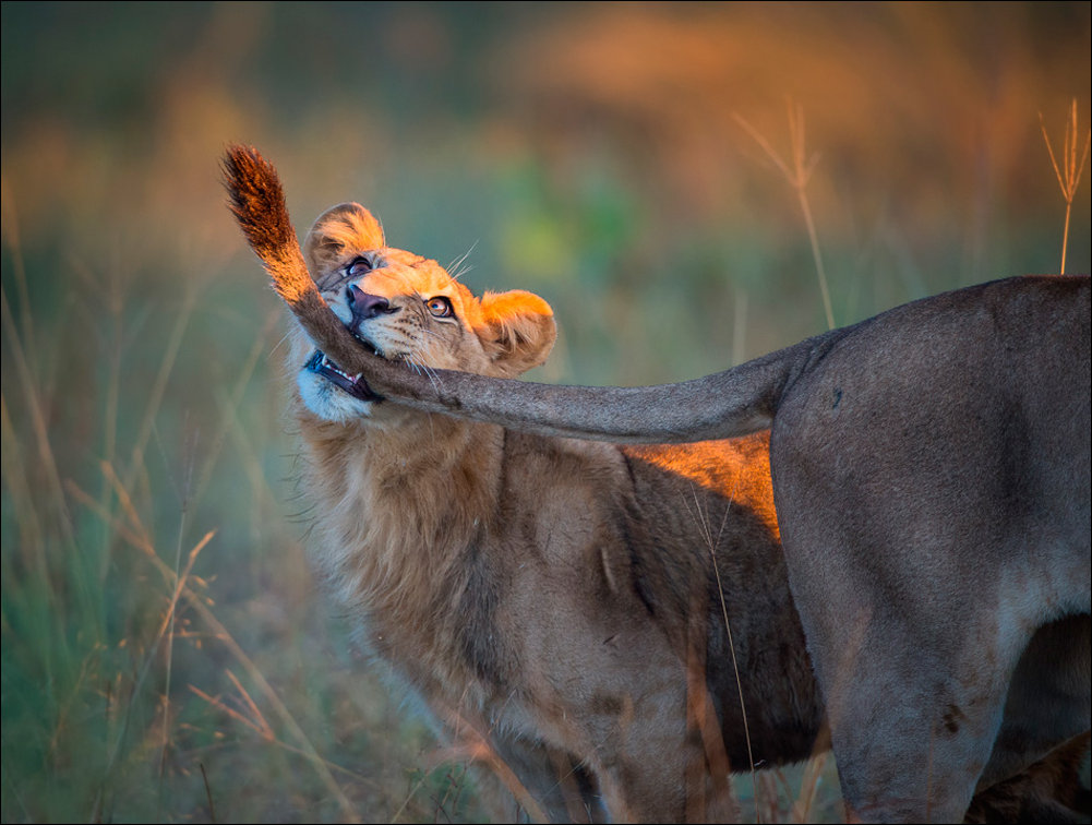 Подборка фотографий
