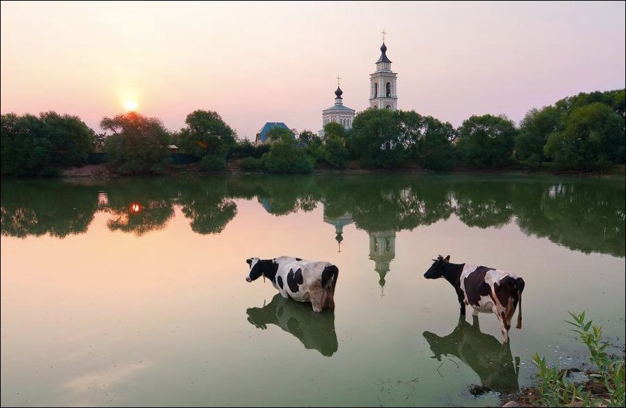 Подборка фотографий
