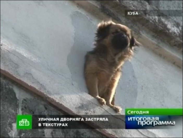 Подборка фотографий