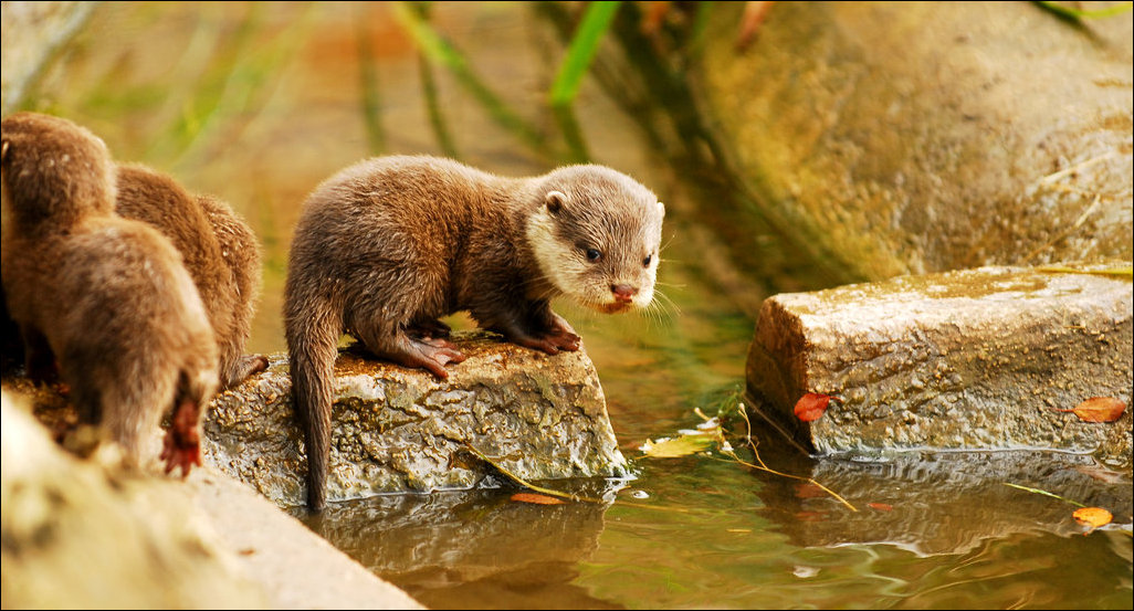 Подборка фотографий