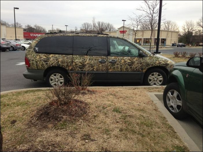 Подборка фотографий