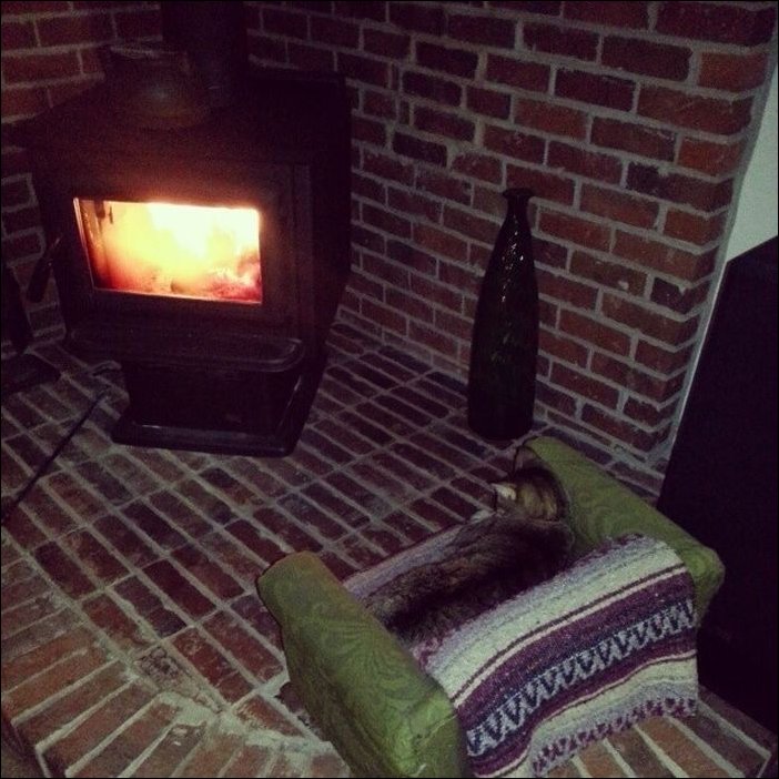 Подборка фотографий