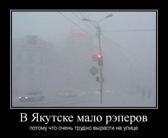 Подборка фотографий