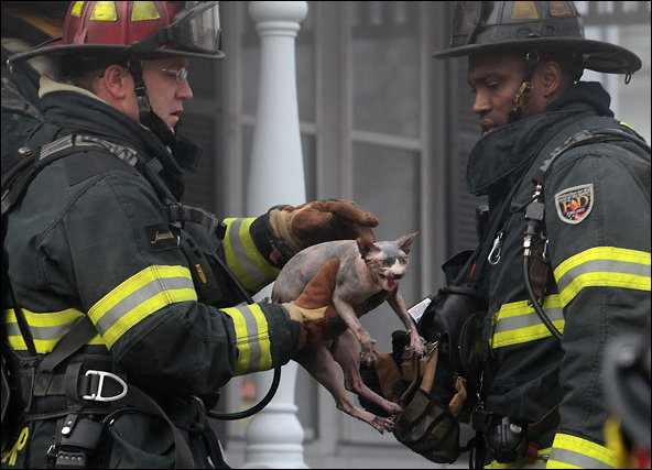 Подборка фотографий