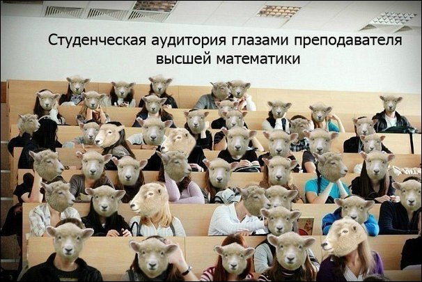 Подборка фотографий