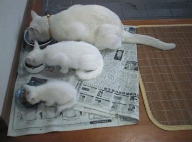 Подборка фотографий