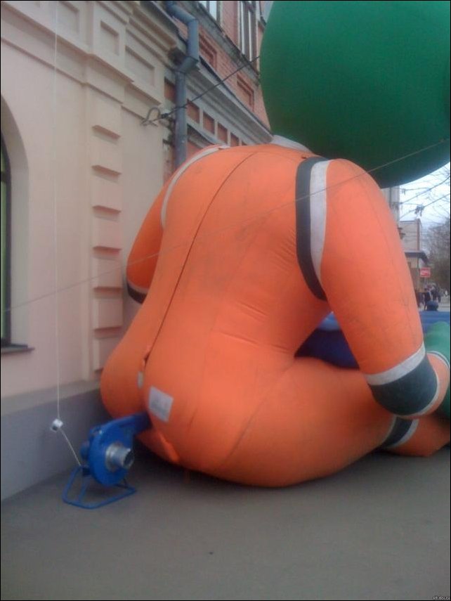 Подборка фотографий