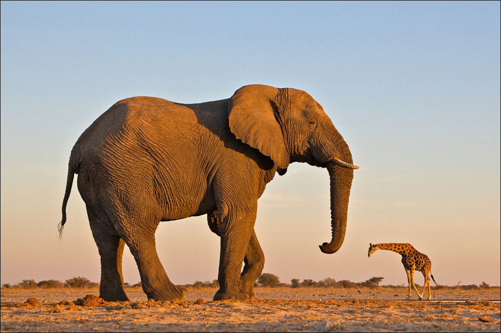 Подборка фотографий
