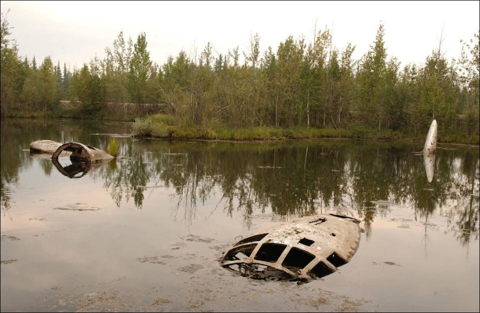 Подборка фотографий