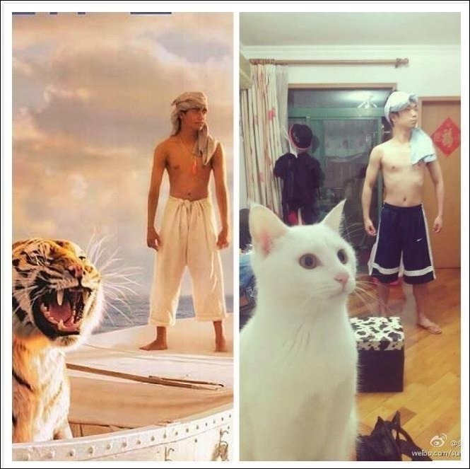 Подборка фотографий